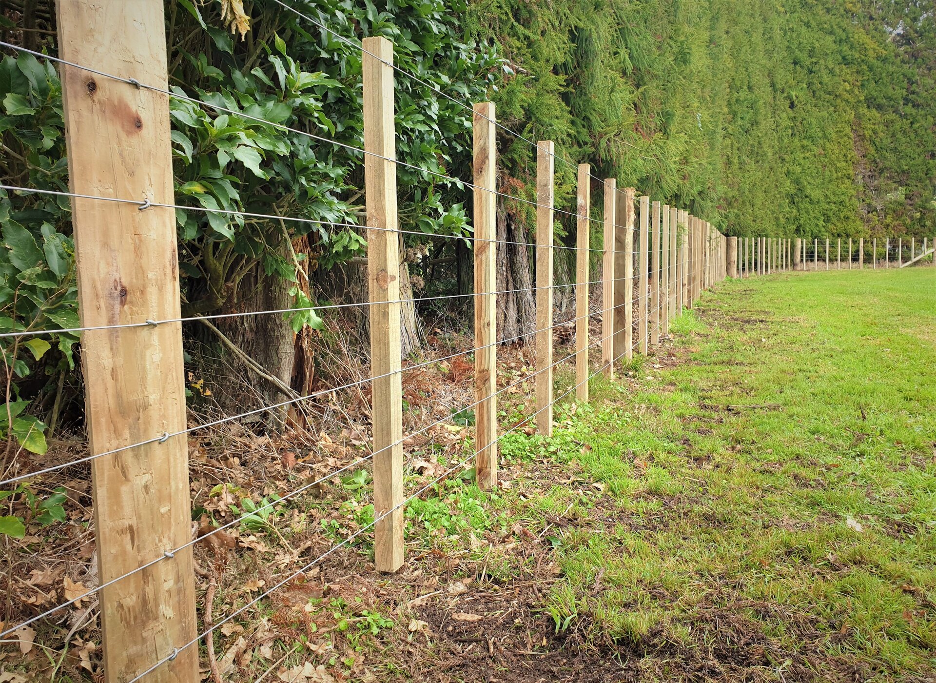 Rural fencing Coastline Fencing Limited